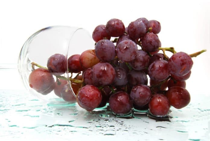 Resveratrol image de raisin