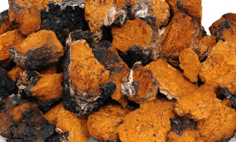 image chaga