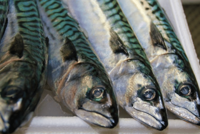 image poisson