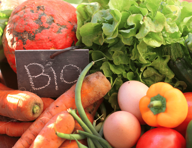 Alimentation bio Foto alimentation bio