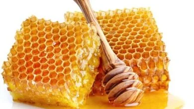 miel Aphtes : atténuer les douleurs buccales avec du miel et de la propolis