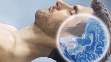 sommeil cerveau dormir