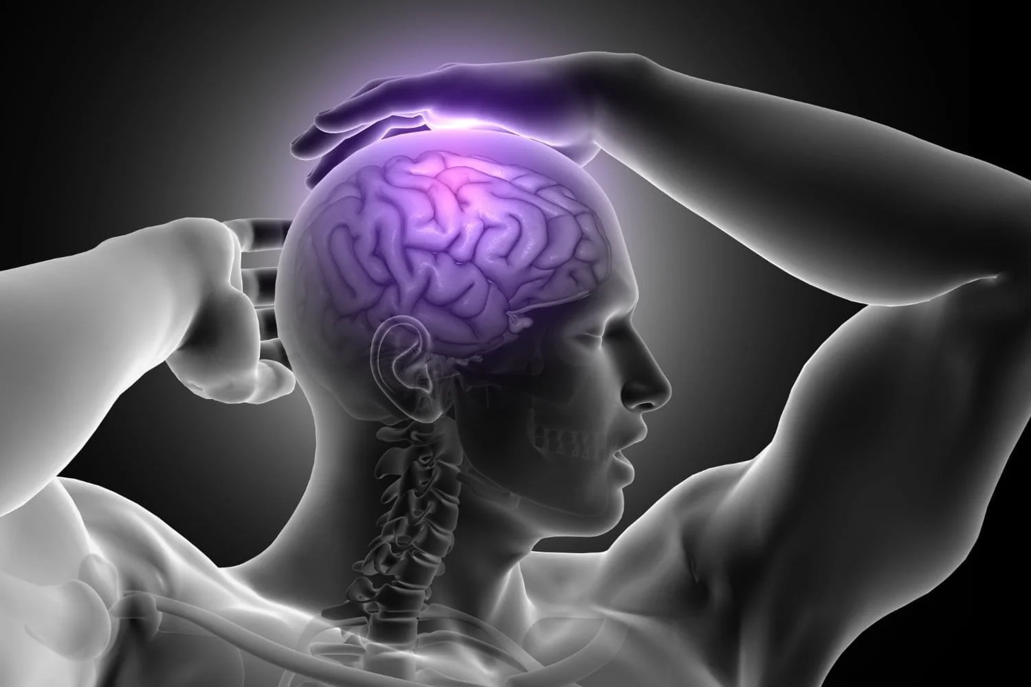 Мозг перегружен информацией. Деятельность мозга. Улучшение функций головного мозга. Здоровый мозг картинки. Паутинная оболочка мозга функции.