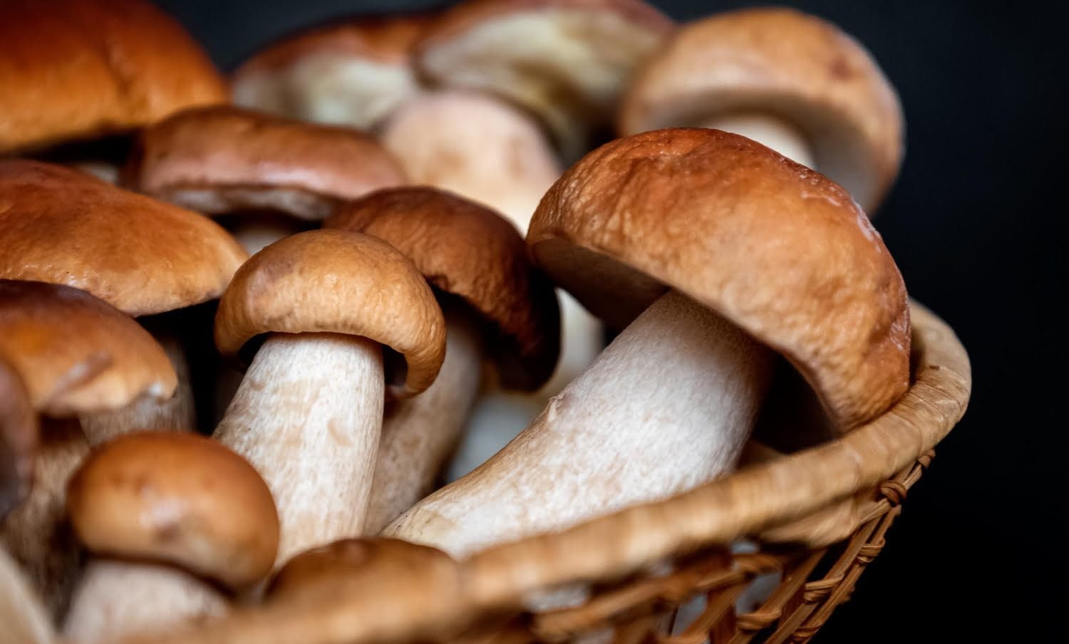 Panier de champignons