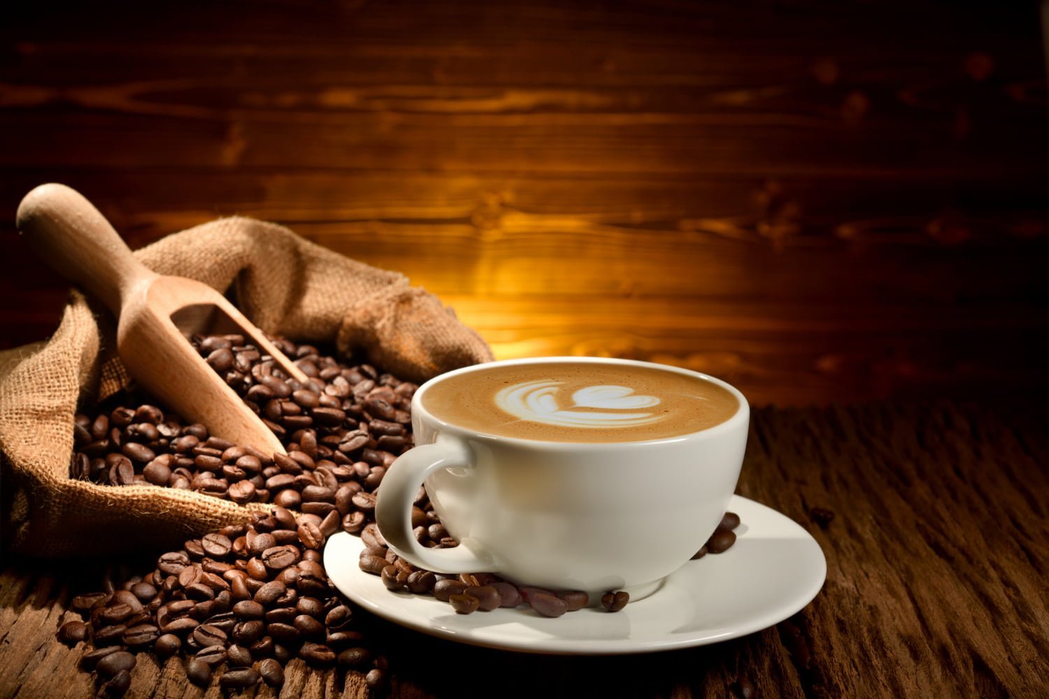 Les secrets du café pour protéger le cerveau du vieillissement