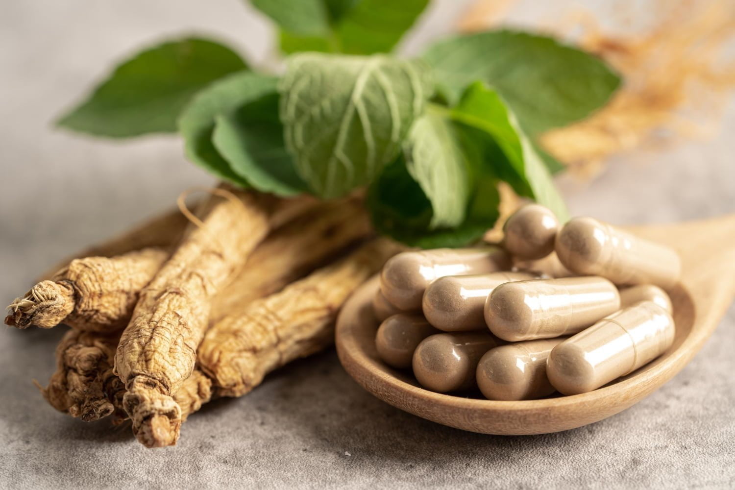 Voici les 10 meilleures plantes anti-stress