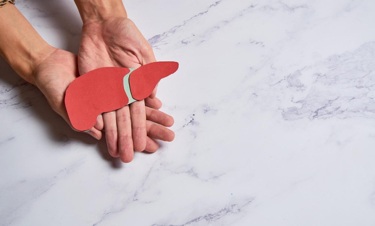 Illustration de foie