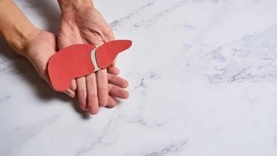 Illustration de foie