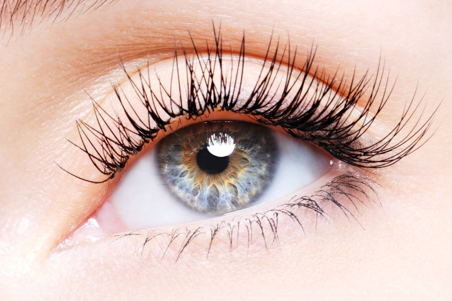 Les cils repoussentils ? Comment en prendre soin?