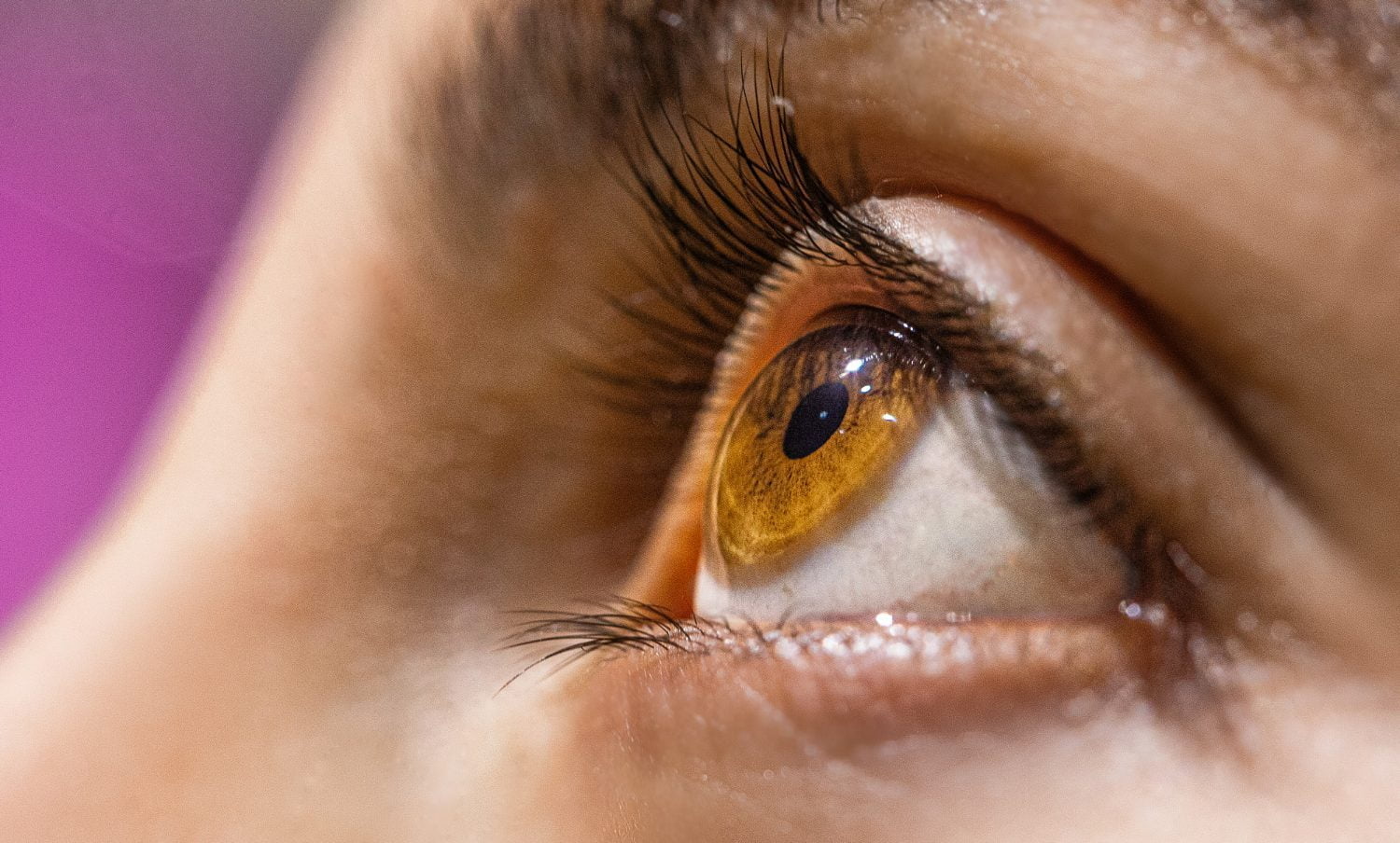 oeil regard