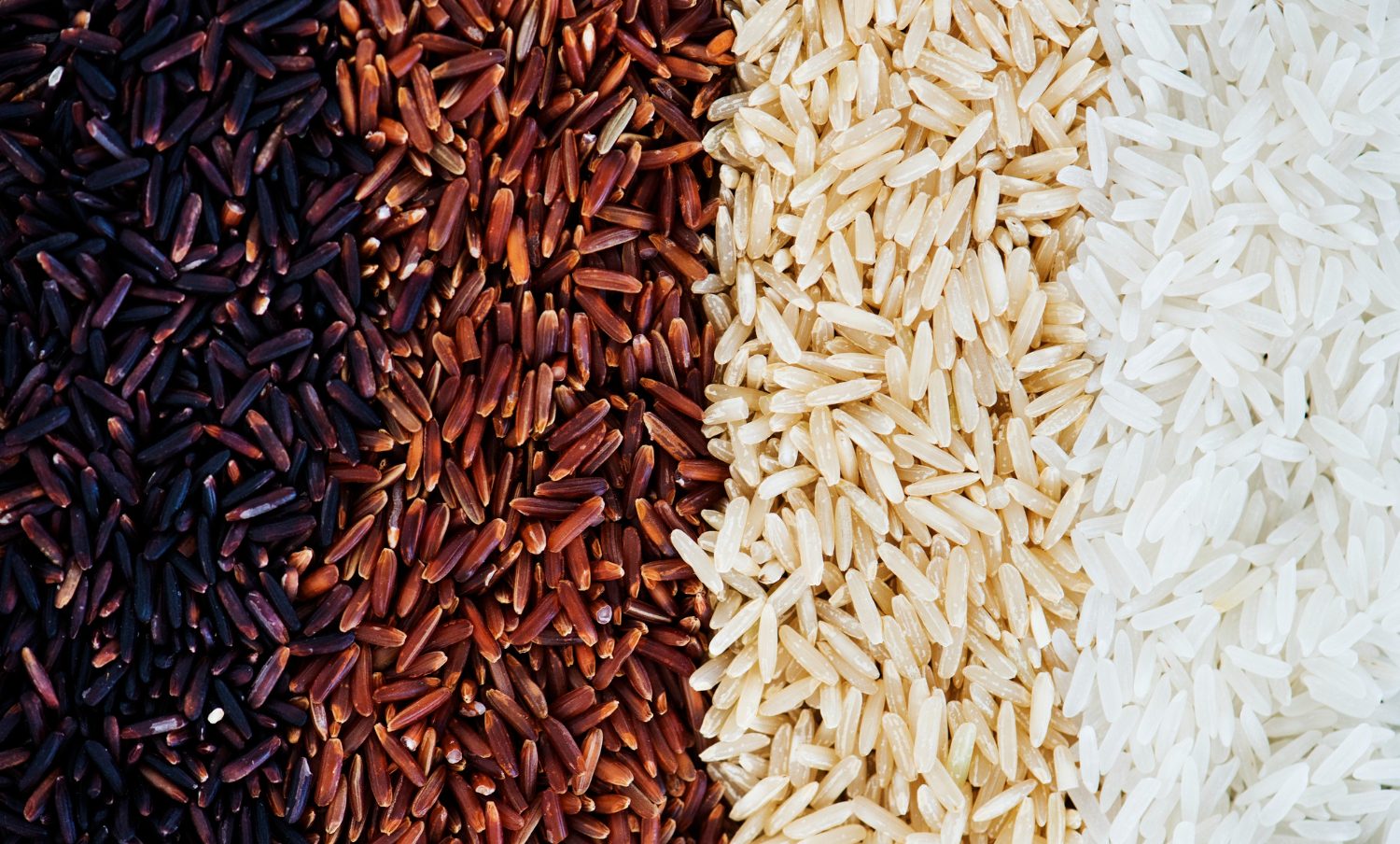 Le riz brun une céréale polyvalente aux nombreux bienfaits pour la santé