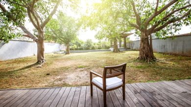 terasse en bois dans un jardin