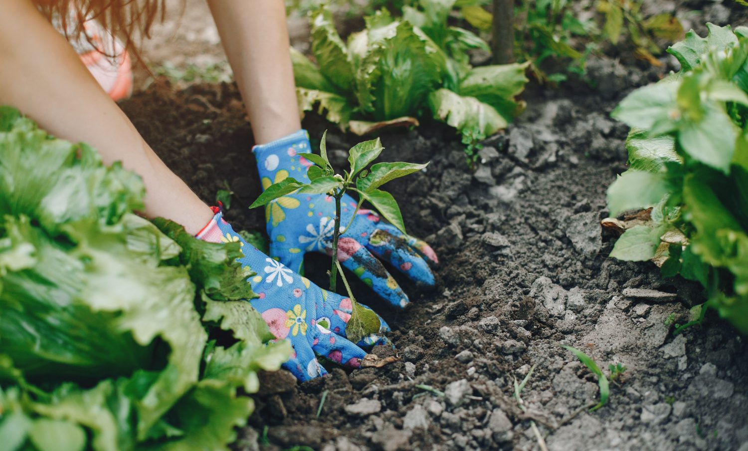 Preparation du sol jardinage