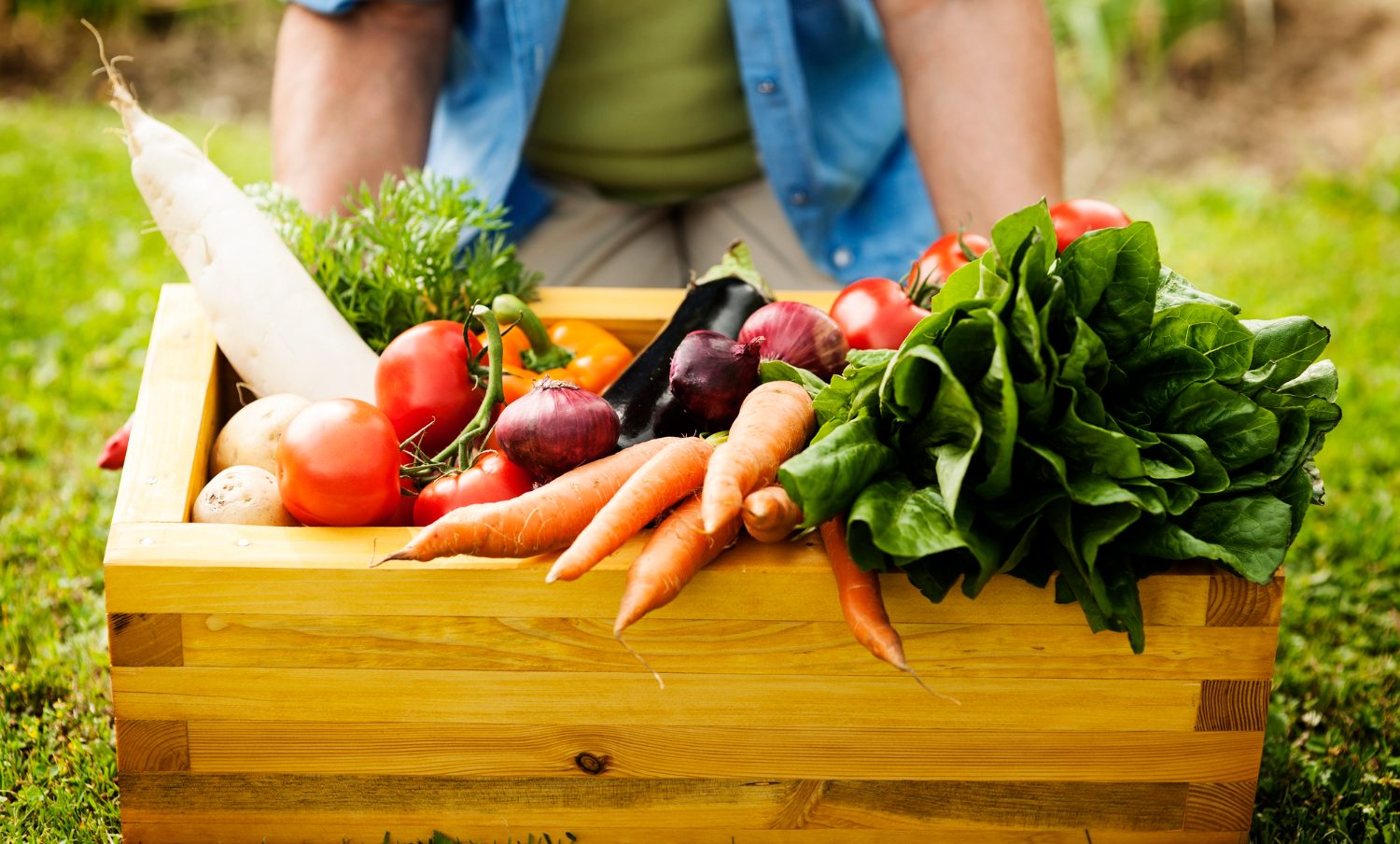 fruit et legumes de potager dans une caisse