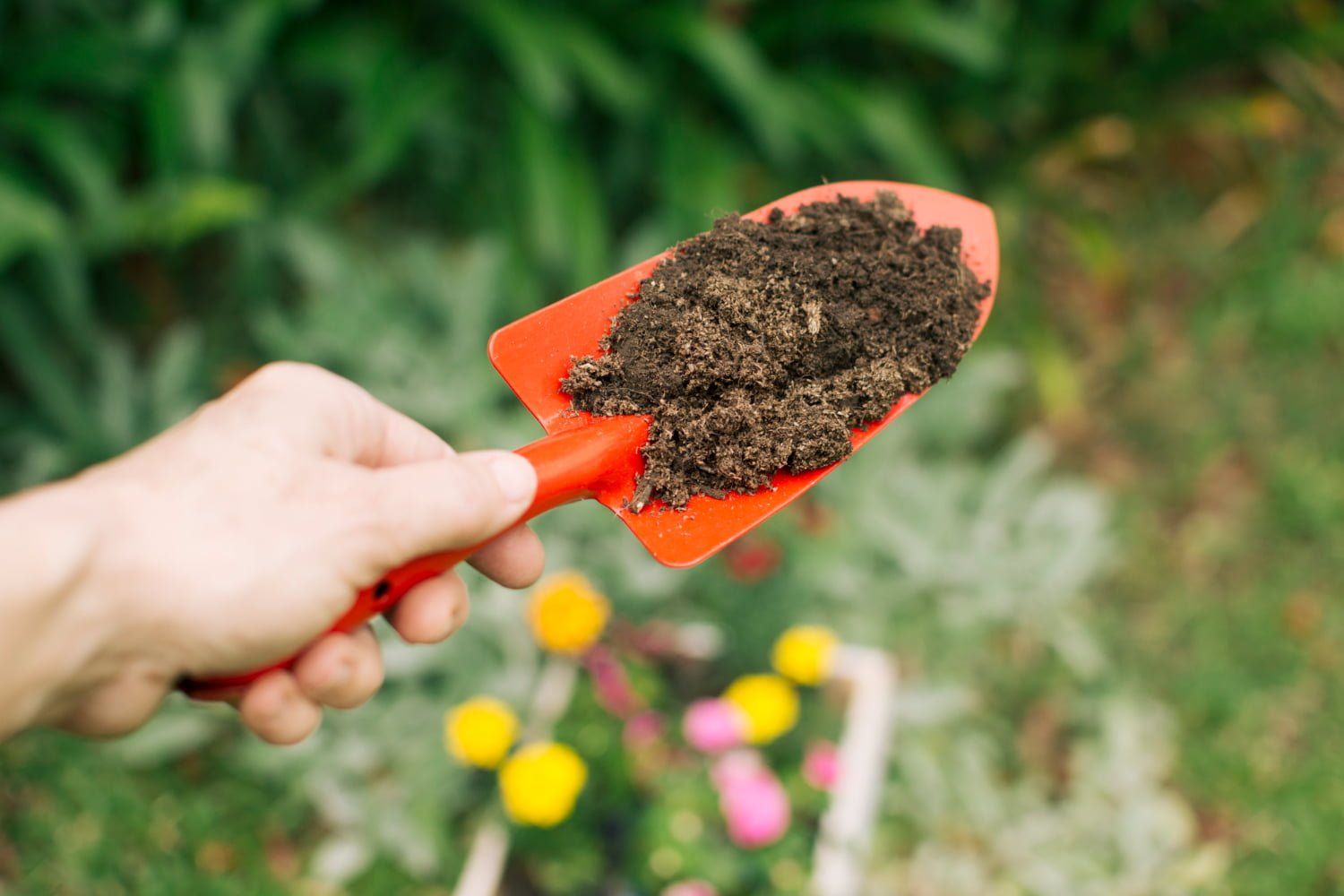 petite pelle pleine de terre dasn un jardin