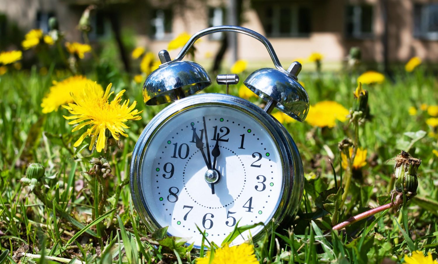 Reveil dans l herbe