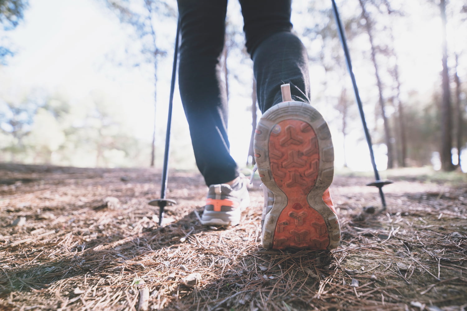 I poco conosciuti benefici per la salute del Nordic Walking