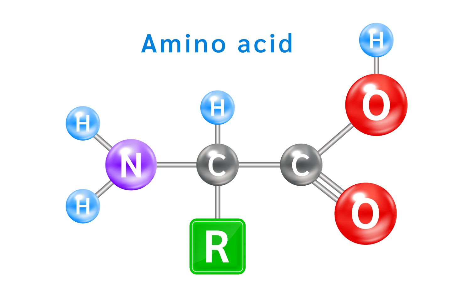 Quels sont les acides aminés essentiels et où les trouver dans l ...