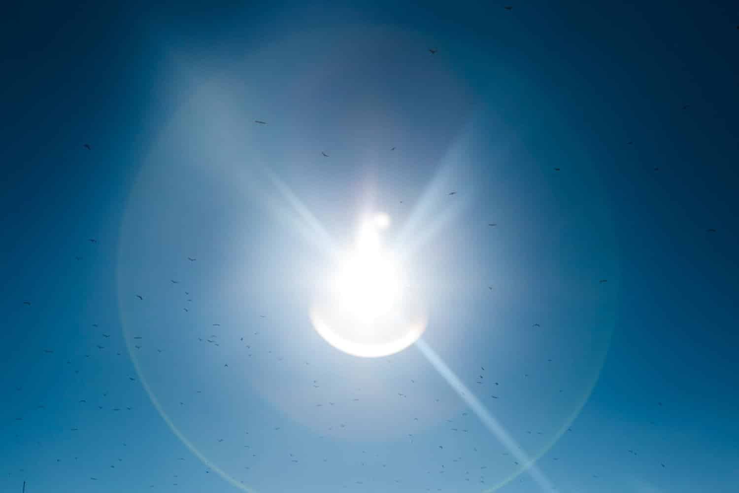 Pourquoi voyonsnous parfois des halos autour des lumières? — free download
