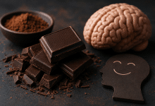 Chocolat noir: des bénéfices sur la santé cérébrale et la stabilité de l’humeur