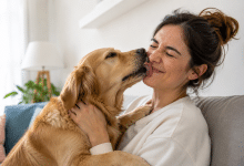 Animaux de compagnie: Laisser son chien lécher son visage : quel risque ?